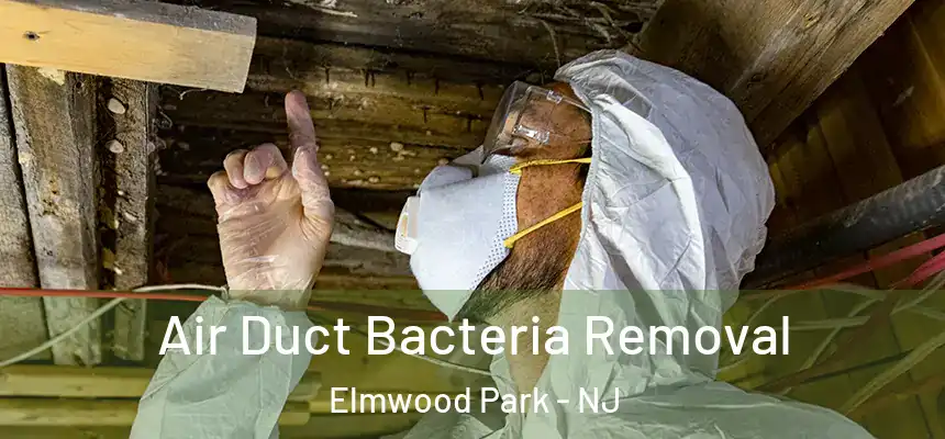 Air Duct Bacteria Removal Elmwood Park - NJ