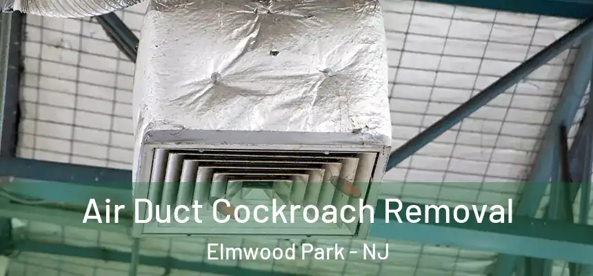  Air Duct Cockroach Removal Elmwood Park - NJ