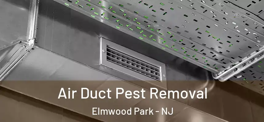  Air Duct Pest Removal Elmwood Park - NJ
