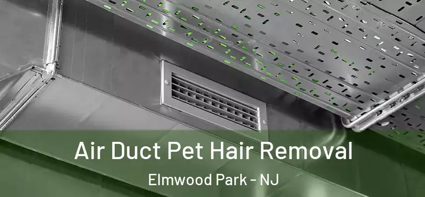  Air Duct Pet Hair Removal Elmwood Park - NJ