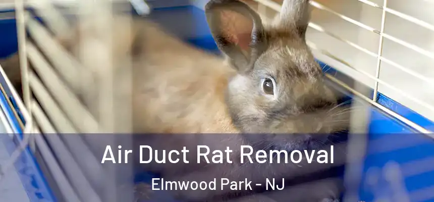 Air Duct Rat Removal Elmwood Park - NJ