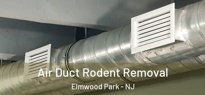 Air Duct Rodent Removal Elmwood Park - NJ