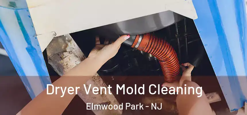  Dryer Vent Mold Cleaning Elmwood Park - NJ