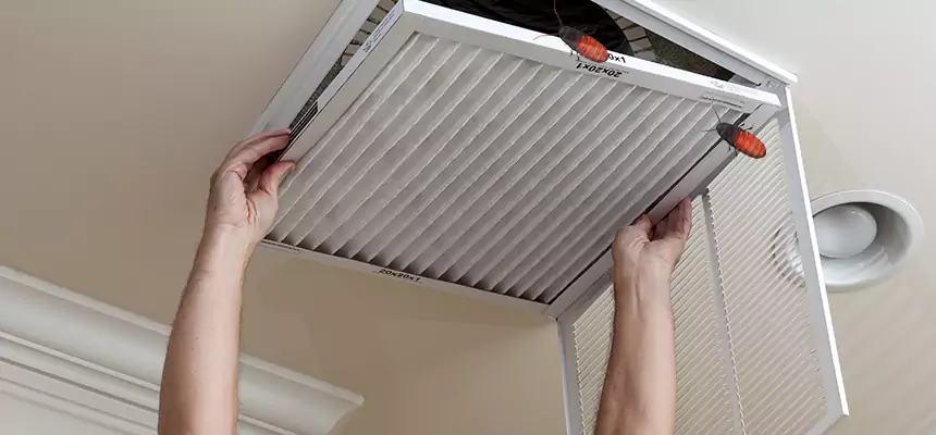 Our Insect Removal from Air Ducts Services in Elmwood Park, NJ