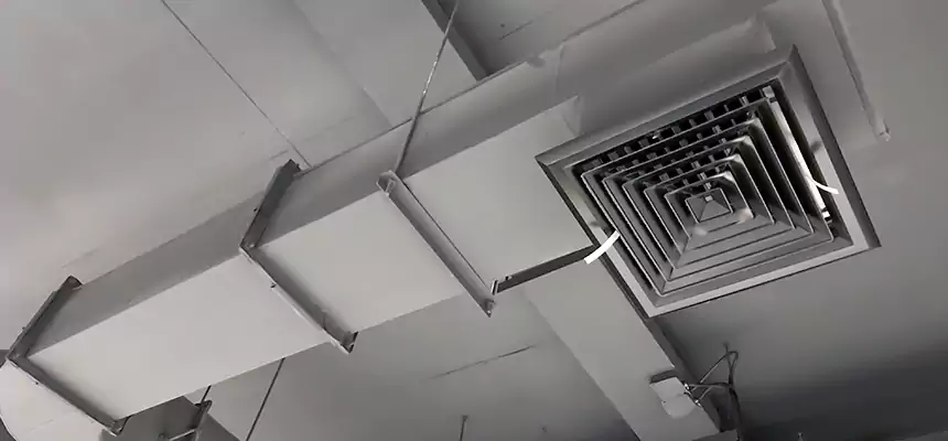 Our Pest Removal From Ducts Services in Elmwood Park, NJ