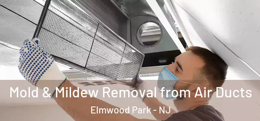  Mold & Mildew Removal from Air Ducts Elmwood Park - NJ