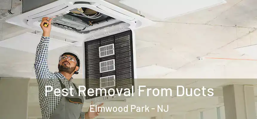  Pest Removal From Ducts Elmwood Park - NJ