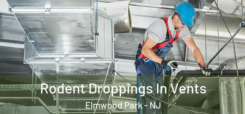  Rodent Droppings In Vents Elmwood Park - NJ