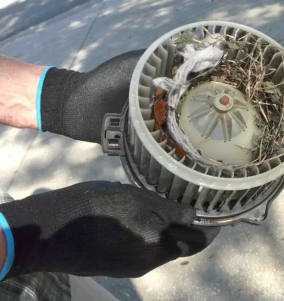 About Air Duct Rat Removal in Elmwood Park, NJ