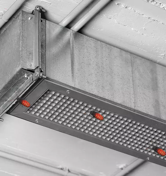Affordable Insect Removal from Air Ducts in Elmwood Park, NJ