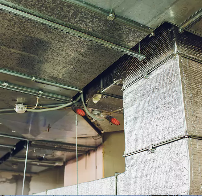 Why Homeowners & Businesses Trust Us in Elmwood Park, NJ?