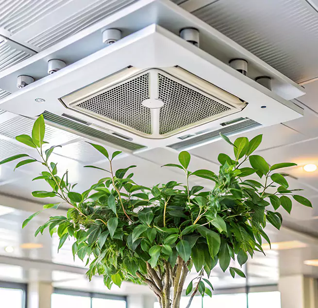 Why Homeowners & Businesses Trust Us in Elmwood Park, NJ?