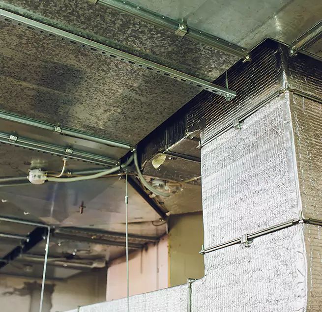 Why Homeowners & Businesses Trust Us in Elmwood Park, NJ?